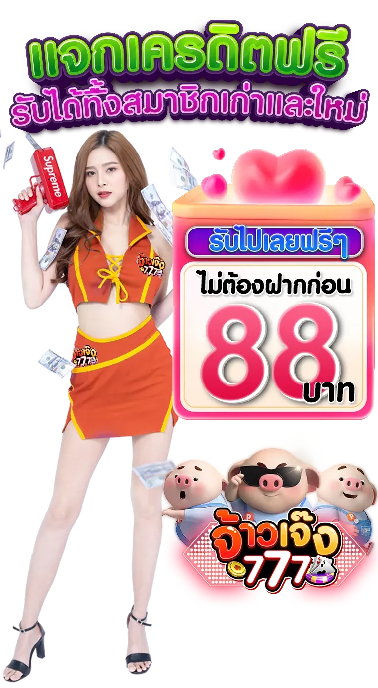 ฟีเจอร์เด่น